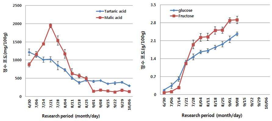 신품종 청수 포도의 시기별 유기산 및 유리당 함량의 변화