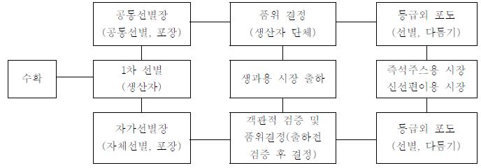 생식용 포도 출하체계 개선 방향