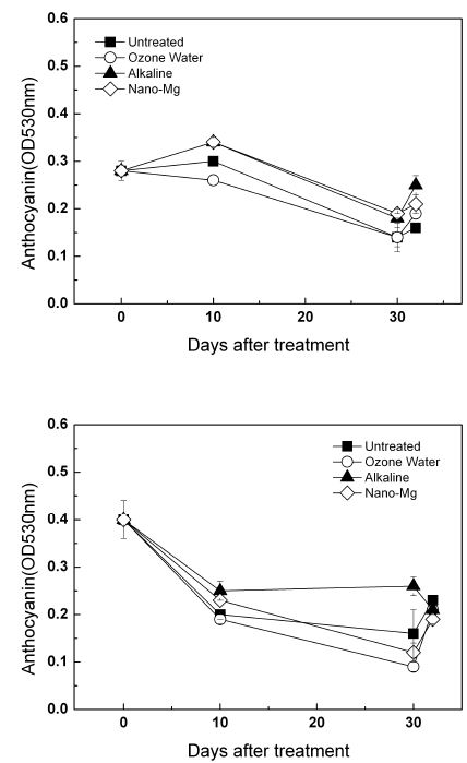 오존수, 산성수, nano-Mg 처리에 따른 ' 흑구슬(위)' , ' 거봉(아래)' 품종의 안토시아닌 함량 변화(30일간 0℃에 저장 후 2일간 상온노출)