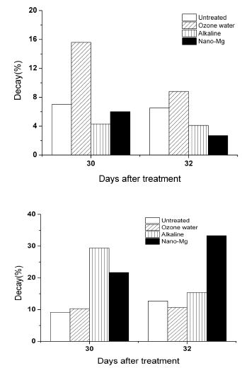 오존수, 산성수, nano-Mg 처리에 따른 ' 흑구슬(위)' , ' 거봉(아래)' 품종의 부패율 변화(30일간 0℃에 저장 후 2일간 상온 노출)