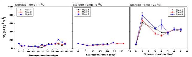 Respiration rate according to ripening stage and storage temperature in Oishiwase during storage