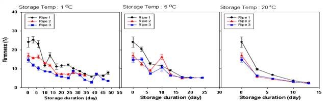 Firmness according to ripening stage and storage temperature in Oishiwase during storage