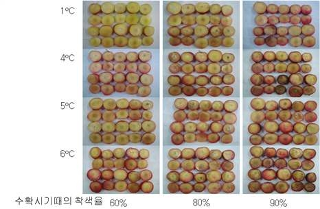 Chilling injury development according to ripening stage and storage temperature in Oishiwase during storage