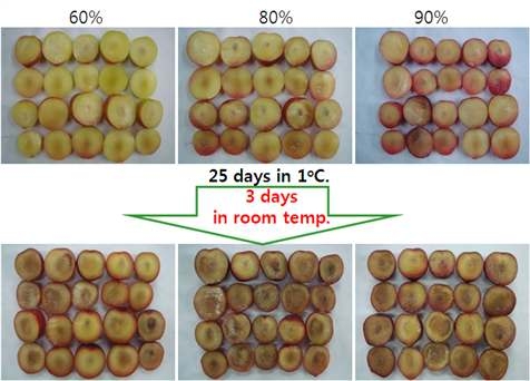 Chilling injury development of Oishiwase fruits at 25 days in cold(1℃) storage following 3 days in room temperature according to ripening stage