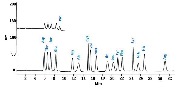 Amino acid stable 계열 standard mixture (100 umol/L)