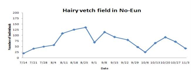 Changing the caught number of R iptortus pedestris to pheromone trap at hairy vetch field in No-Eun area from July to November, 2010.