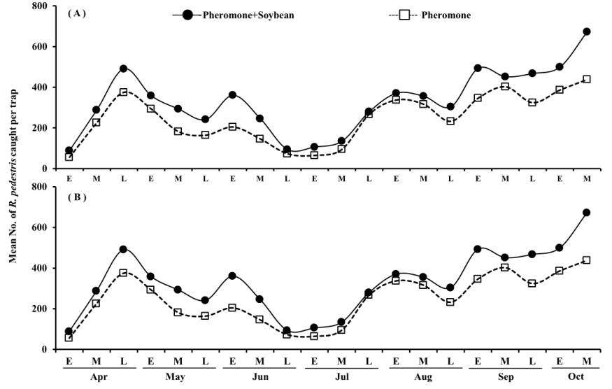 Number of R . pedestris adults caught in the aggregation pheromone trap and aggregation pheromone + soybean trap on Mt. Yagseong at site A (A) and B (B) during 3 years (2010 - 2012).