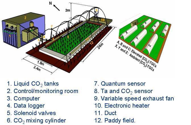지구온난화 조건의 온도 및 CO2 처리를 위한 온도구배챔버(temperature gradient chambers,TGCs) 모식도