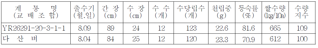 YR26291-20-3-1-1의 주요 농업적특성 및 수량성