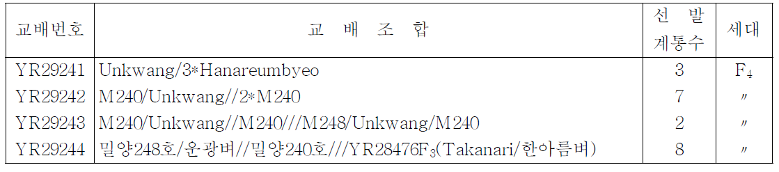 유묘 내냉성 계통 선발