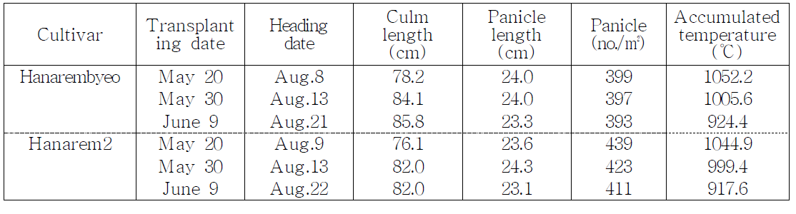 Effect of transplanting date on the growth of Indica×Japonica rice at mature stage