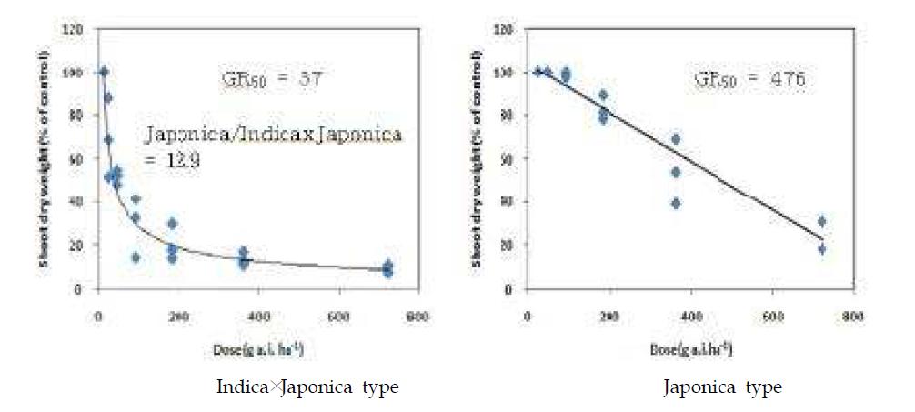 Difference of shoot biomass reduction for Indica×Japonica and Japonica rice cultivars applied with different dose of mesotrione+pretilachlor at 5 days after transplanting.