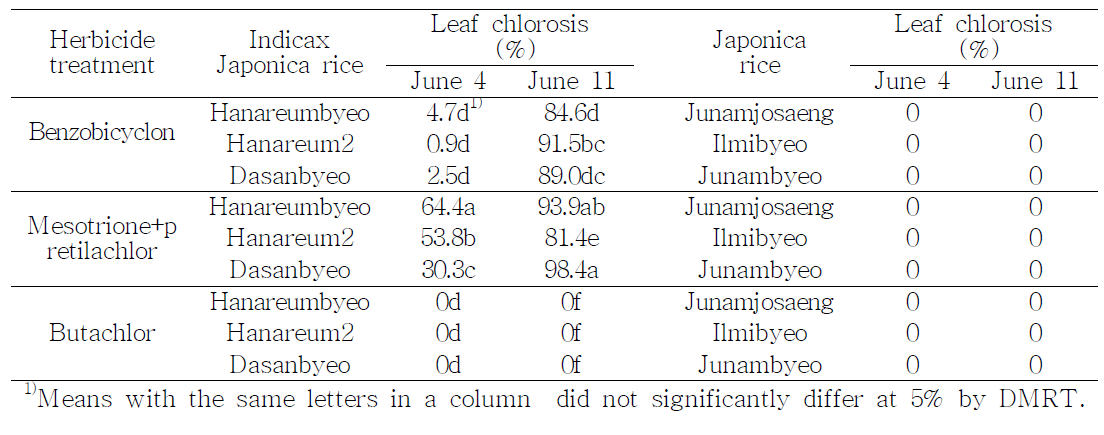 Leaf chlorosis of Indica×Japonica and Japonica rice cultivars after preemergence application of benzobicyclon and mesotrione+pretilachlor