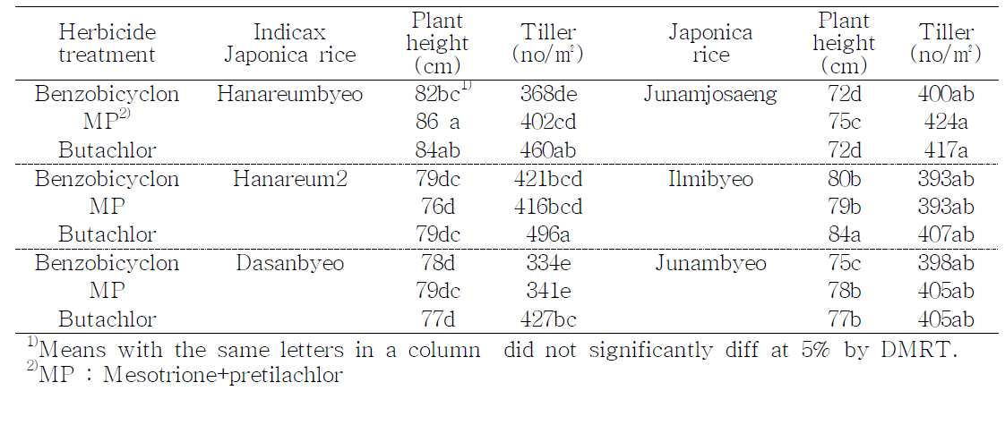 Effect of benzobicyclon and mesotrione+pretilachlor treatment on the plant growth of Indica× Japonica and Japonica rice cultivars at July 29.