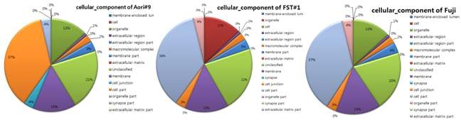 Aori #9, FST #1, Fuji의 EST cellular component GO 분석