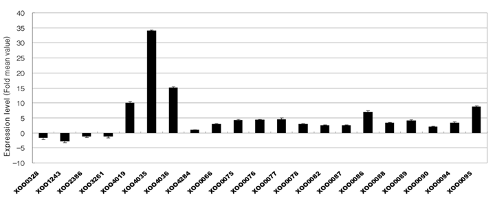 Expression levels of the 21 genes obtained by DNA microarray profiling of the M11 strain. XOO0328, aroD XOO1243, aroB XOO2386, aroA XOO3261, aroC XOO4019, engX CA (cellulase); XOO4035, cbsA (1,4-b-cellobiosidase); XOO4036, cellulase; XOO4284, aroG XOO0066, hrpF XOO0075, hpaB XOO0076, hrpE XOO0077, hrpD6 XOO0078, hrpD5 XOO0082, hrcQ XOO0087, hrpB2 XOO0086, hrpB1 XOO0088, hrpB3 XOO0089, hrpB4 XOO0090, hrpB5 XOO0094, hrcC and XOO0095, hpa1