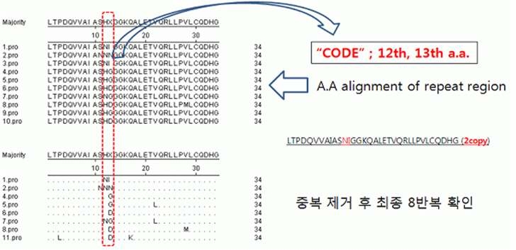 Alignment of the repetitive region of avrBs3/P thA gene of X anthomonas oryzae pv. oryzae.