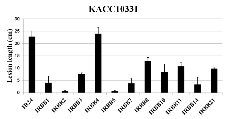 Virulence phenotype of X anthomonas oryzae pv. oryzae KACC10331 on monogenic lines.