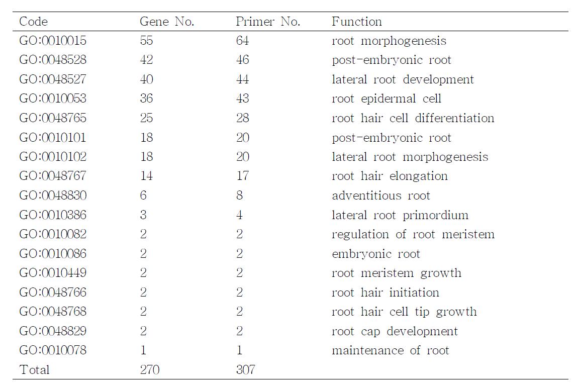 기존 데이터베이스의 배추 유전체 정보와 선발된 8,000개 SNP primer의 염기서열 이용 뿌리 관련 GO annotation 분석 결과(2010)