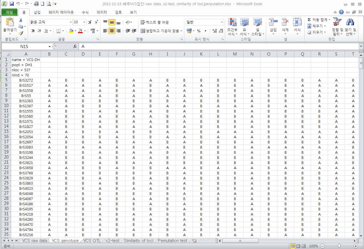 배추 VCS13 집단의 유전자형 분석결과