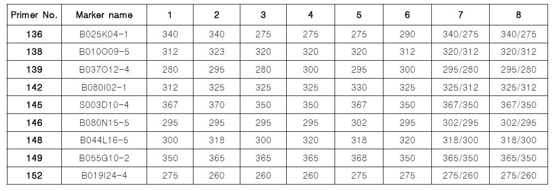 수집한 SSR 표지의 육종재료 8점에 대한 다형성 밴드 출현 결과 (계속)