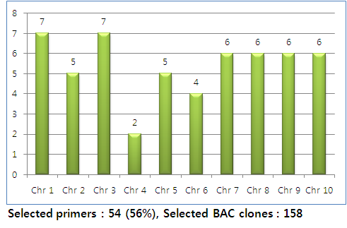 염색체별 선별된 프라이머들