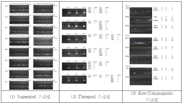 Superpool과 Matrixpool 스크린 결과의 일부