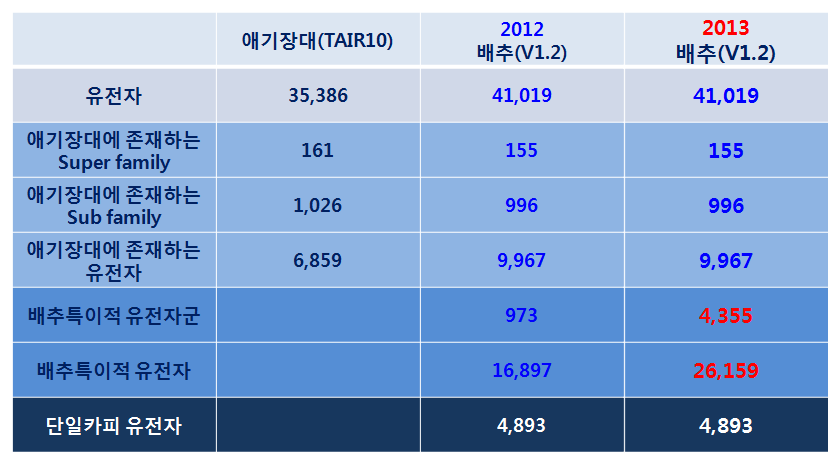 배추 유전자군 분석 결과