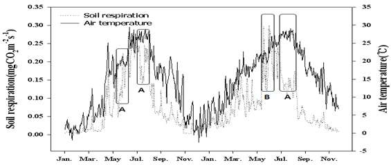 토양호흡량과 기온의 경시적 경향.