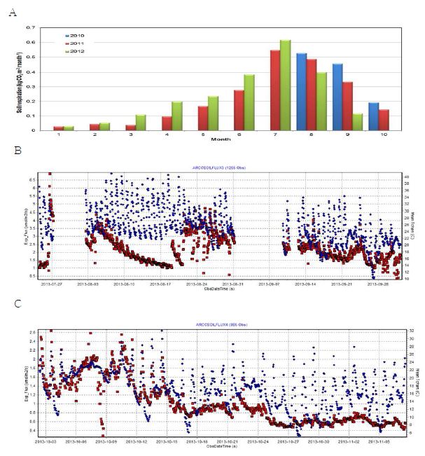 2010∼2013년간 감귤 관측사이트의 월별 토양호흡량 변화
