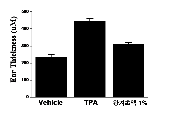 왕겨초액의 부종 억제 효과