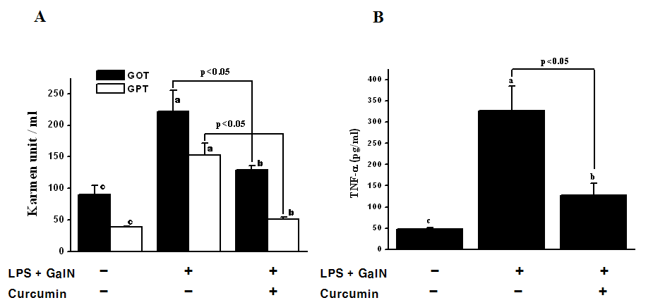 LPS/GalN에 의해 유도된 패혈증 모델에서 혈청 GOT/GPT 및 TNF-α활성에 대한 curcumin의 억제활성
