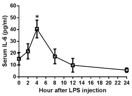 Serum IL-6 levels of dogs following IM challenge with LPS.