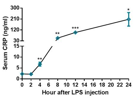 Serum CRP levels of dogs following IM challenge with LPS