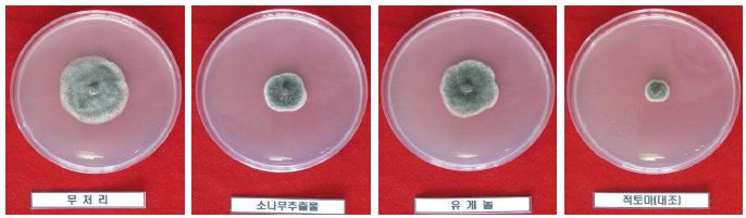 점무늬병 균주에 대한 농자재별 생육 저지 효과(2011 실내검정)