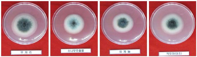 탄저병 균주에 대한 농자재별 생육 저지 효과(2011 실내검정)