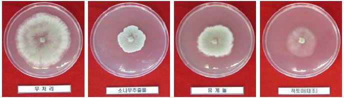 잿빛곰팡이병에 대한 농자재별 생육 저지 효과(2011 실내검정)