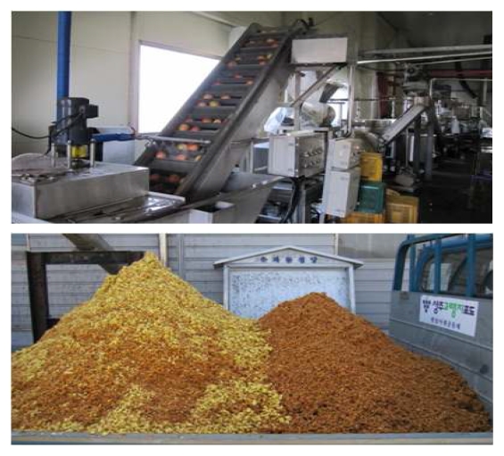 Figure 1. Apple pomace produced from the juice extraction center