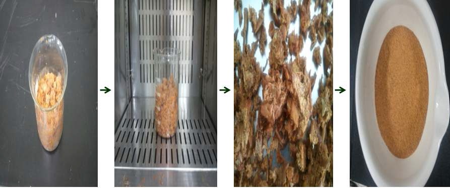 Figure 2. Preparation of samples to develop the bio-composite sheet using apple pomace