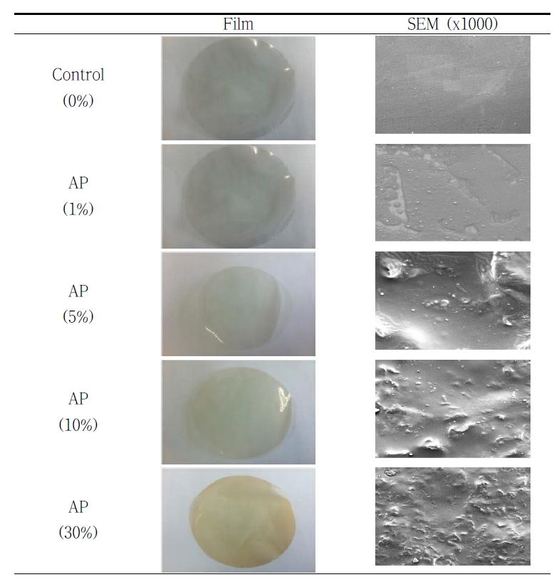 Fig. 1. Film and SEM photographs of the surface of PVA/AP films