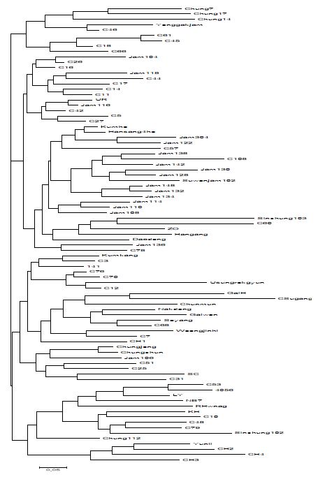 8개 microsatellite loci에서 Phylogenetic tree 분석