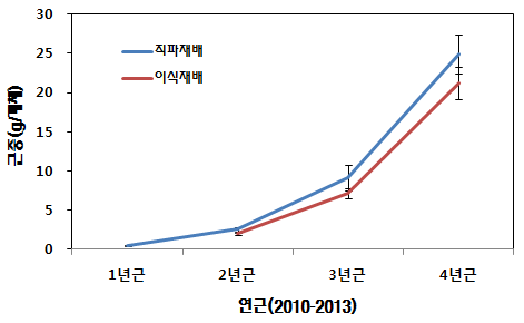 직파와 이식재배에서 년근별 근중의 변화