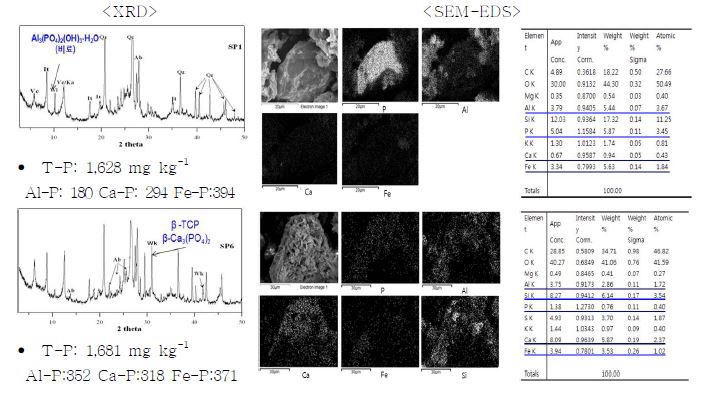XRD, SEM-EDS를 이용한 시설재배지 토양의 P 침전물 특성