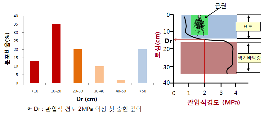 관입식 경도를 활용한 유효근권 깊이 분포