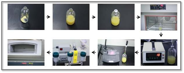 Analysis of products from rumen fermentation in vitro batch culture system