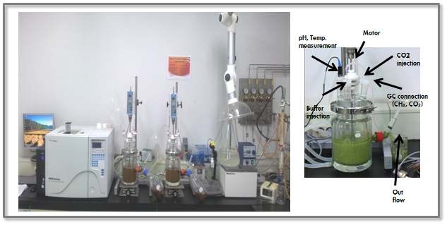 Rumen continuous culture system