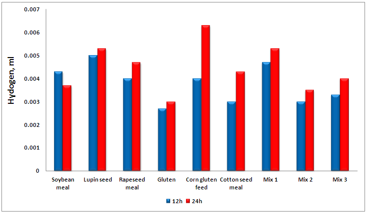 In vitro hydrogen production or feed with high protein during 24h