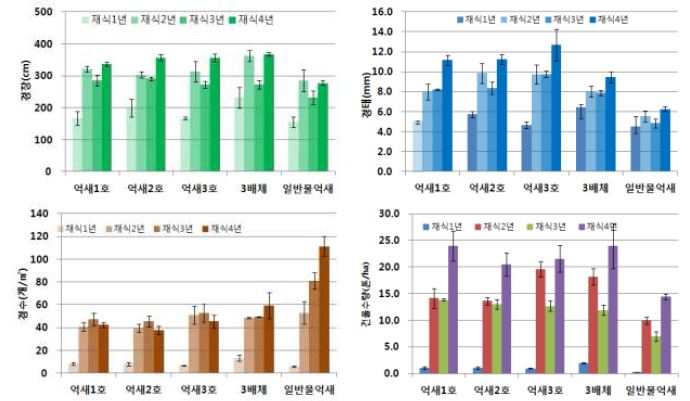 억새 종별 재식 년차별 생육양상