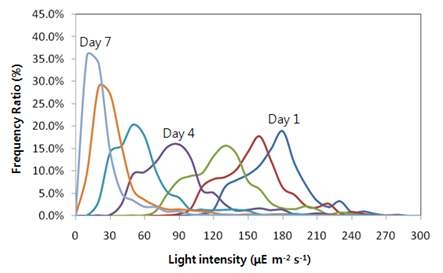 미세조류 배양일에 따른 광량 별 노출 빈도