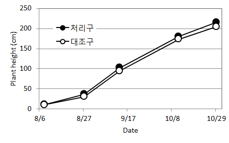 초장 생육 조사결과 추이